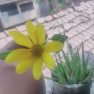 Meet your Posher, Md